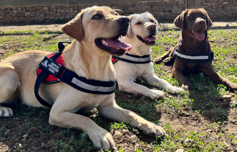 Fundació S'Hort Vell