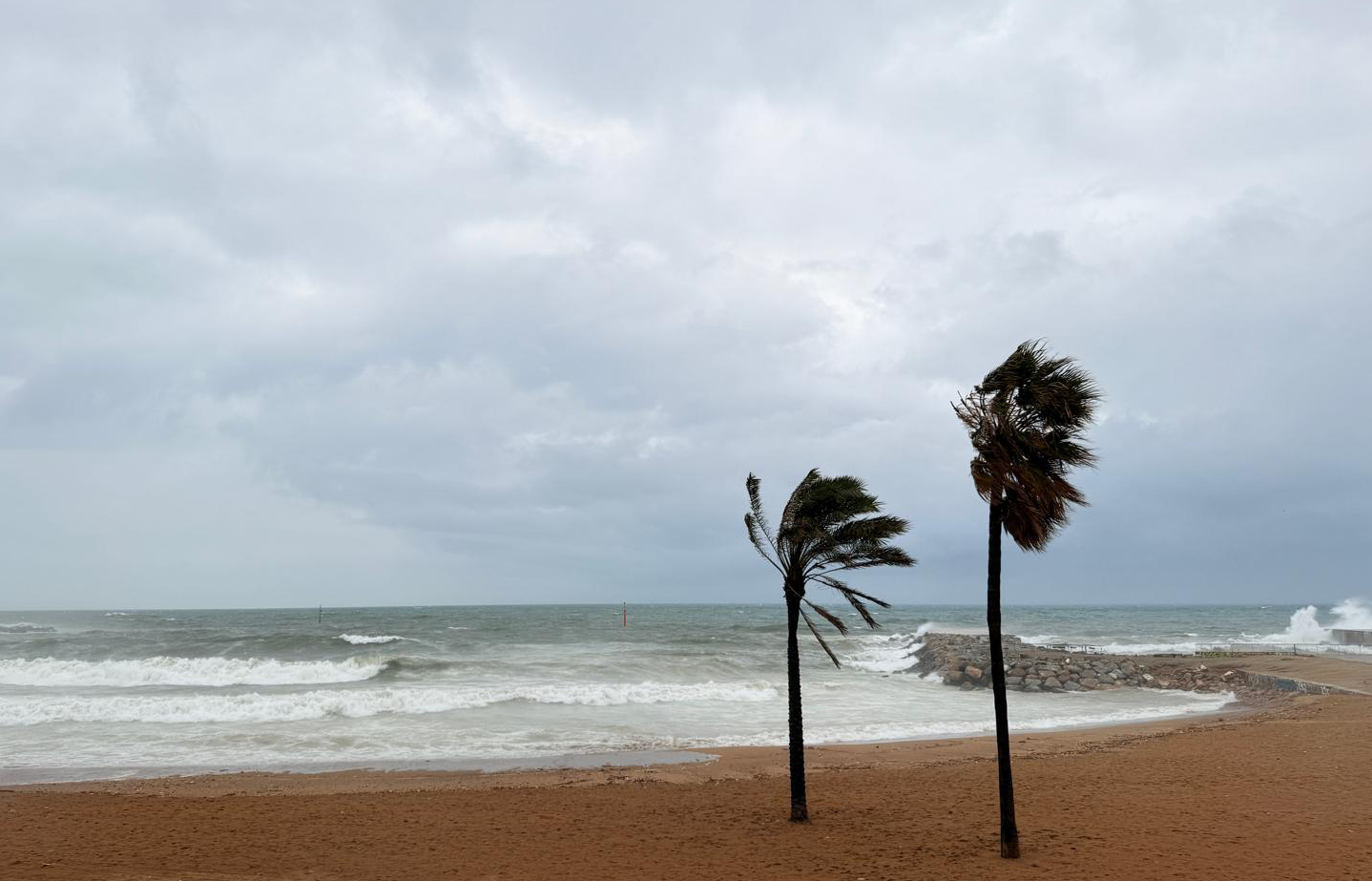 Runneres Cascabeleres