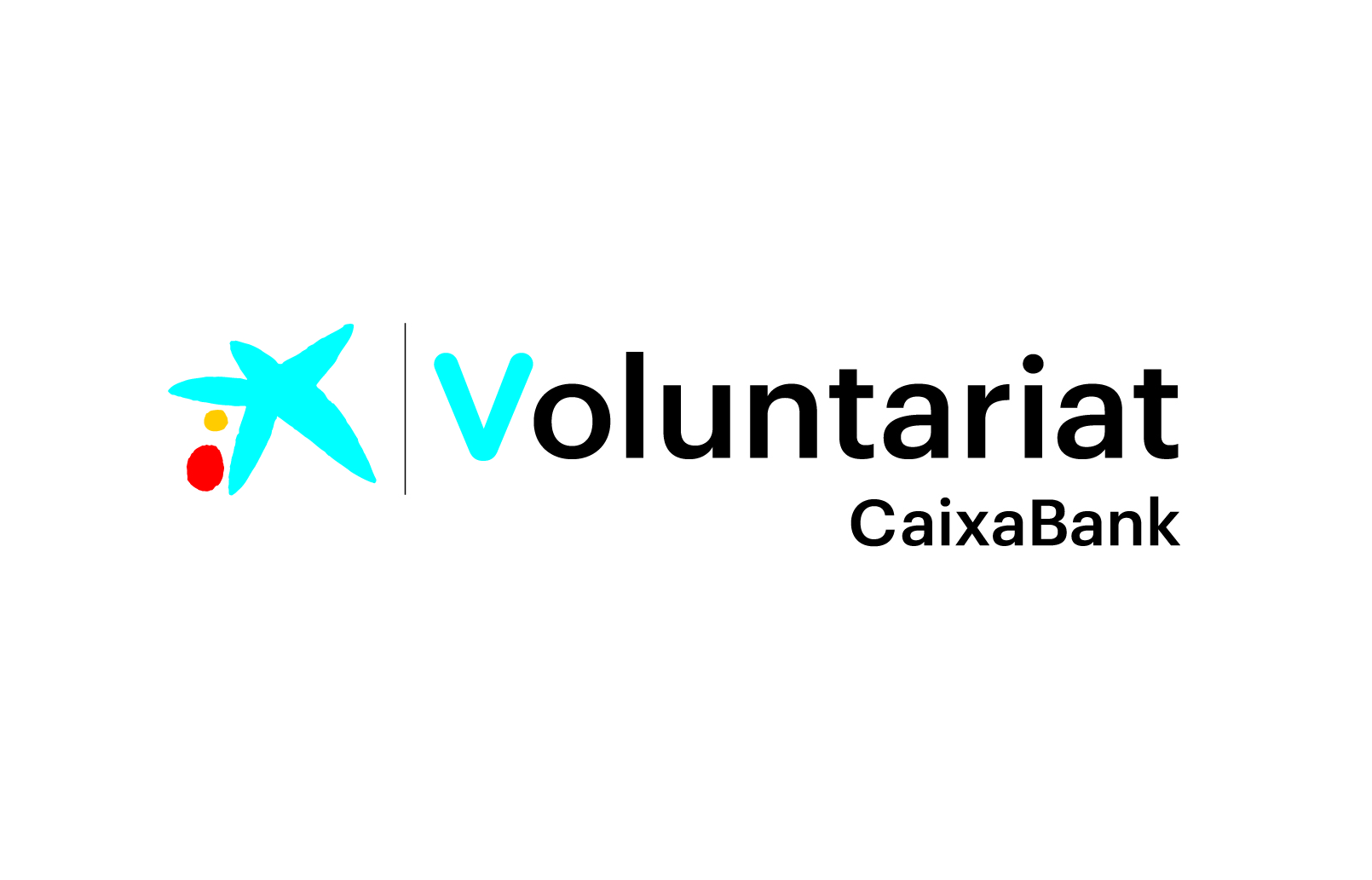 Voluntariat Caixabank Lleida