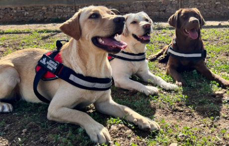 Fundació S'Hort Vell